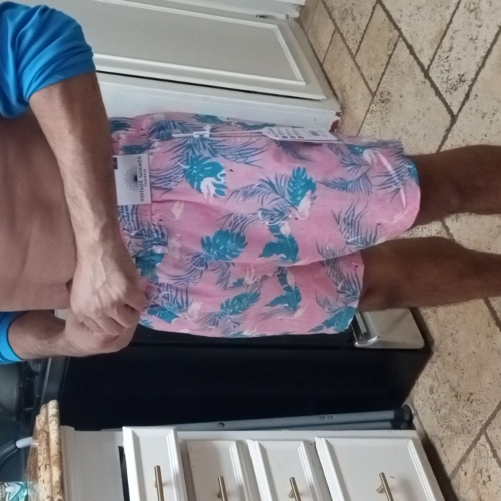 Vintage Summer Swimwear Pink Flamingo Men's Swim Trunks